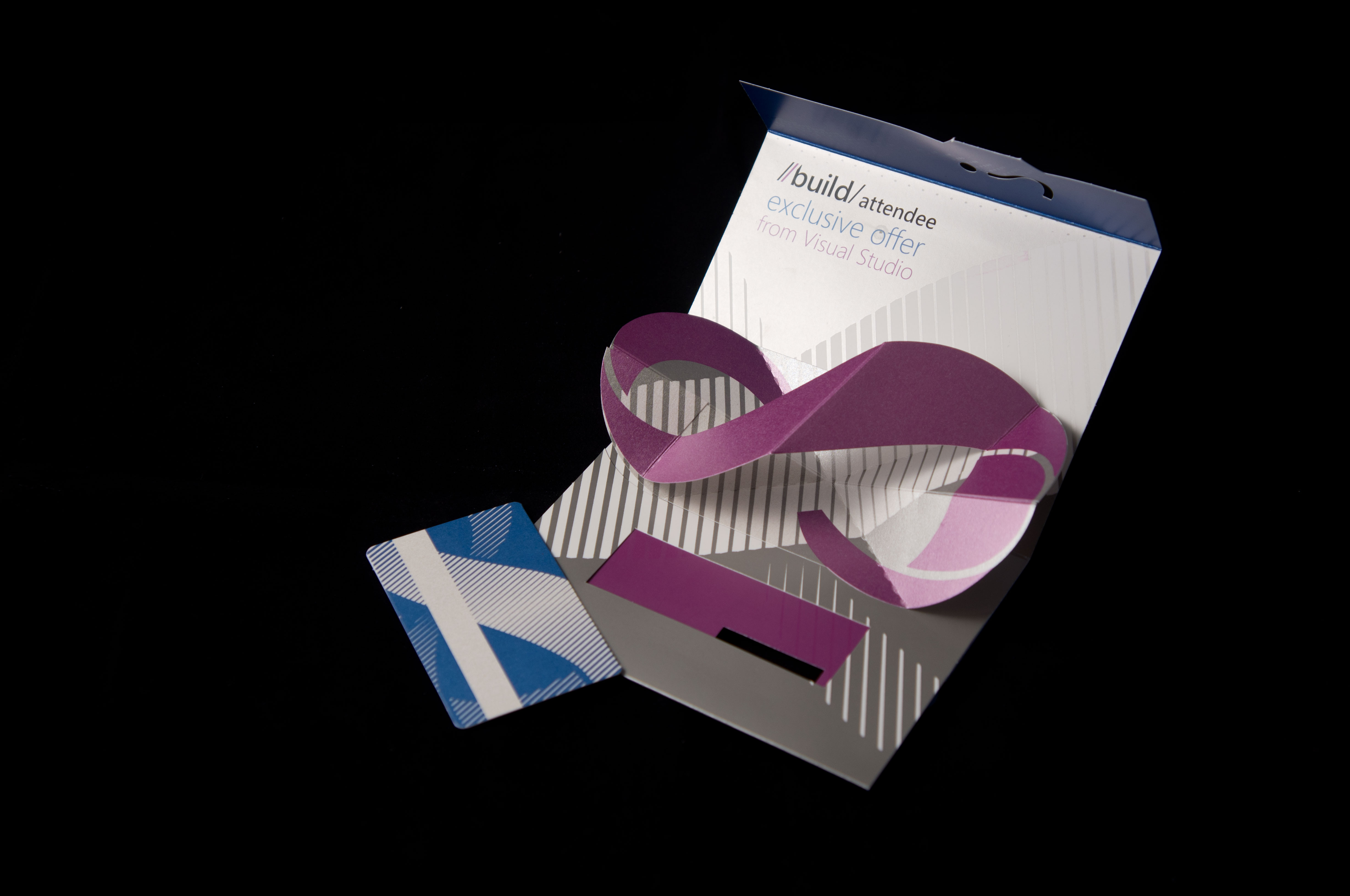 Visual Studio Team Foundation Service Preview Golden Ticket - Build 2011 Edition